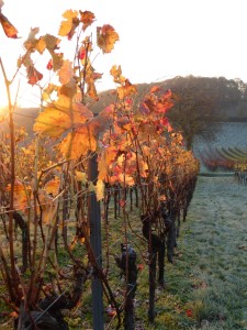 Herbst