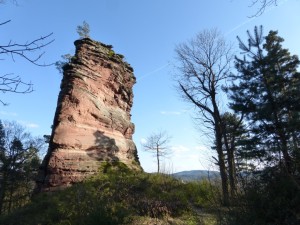 Kriemhildenstein Eichwald
